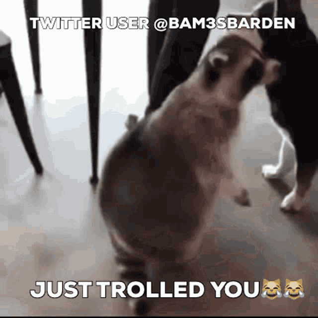 Twitter User Bames Barden Trolled You GIF - Twitter User Bames Barden Trolled You GIFs