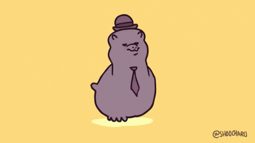 Shoocharu Round Boys GIF - Shoocharu Round Boys Llamas With Hats GIFs