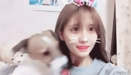 Momo With Dog Animal GIF - Momo With Dog Animal Twice GIFs