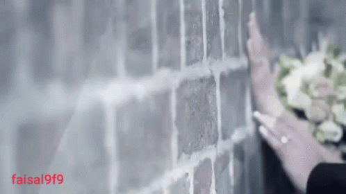 Wall Touch GIF - Wall Touch Feel GIFs