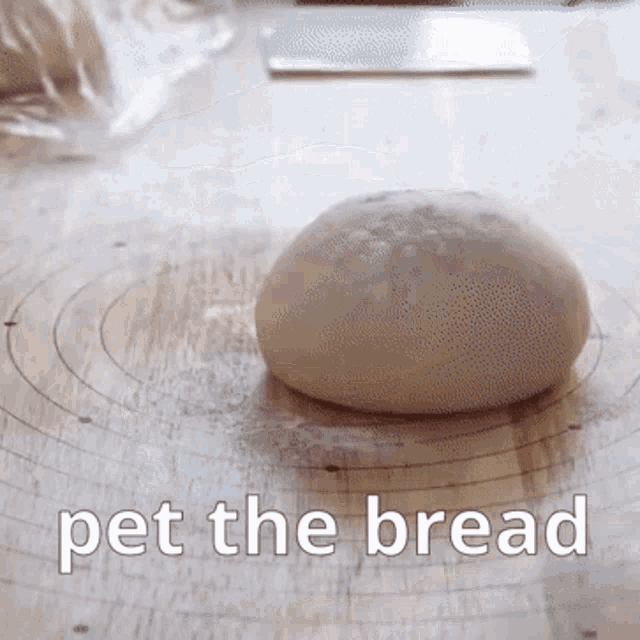 Pet The Bread GIF
