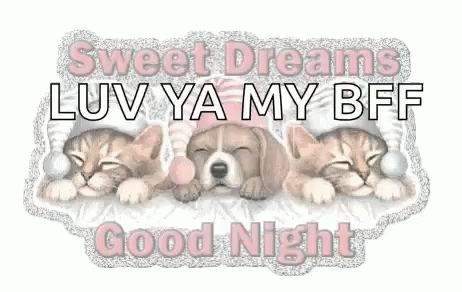 Good Night Sweet Dreams GIF - Good Night Sweet Dreams Bff GIFs