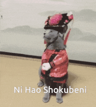 a cat wearing a hat and a red jacket says ni hao shokubeni on the bottom
