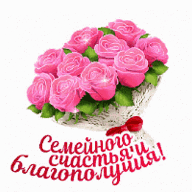 a bouquet of pink roses on a white background with a red ribbon