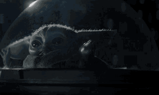 a baby yoda is sitting under a glass dome in a black and white photo .