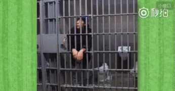 监狱 越狱 搞笑 GIF - Prison Prison Break Funny GIFs