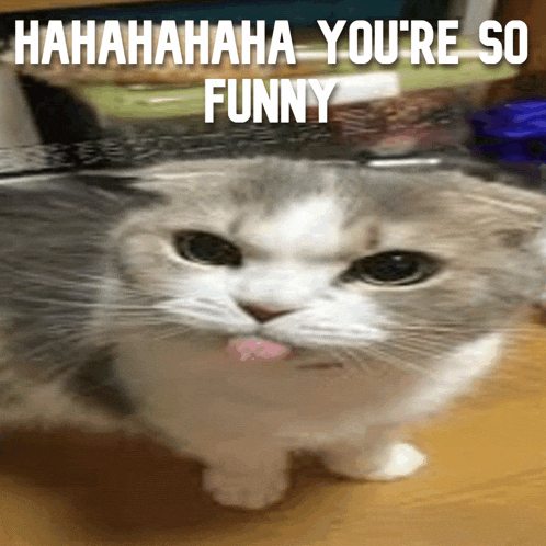 a cat with a pink tongue sticking out and the words hahahaha you 're so funny