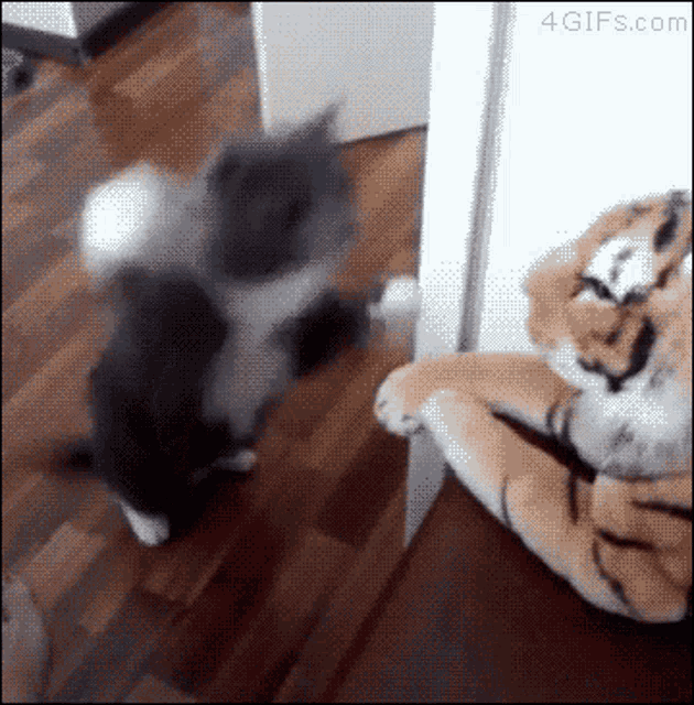 Cat Punch GIF - Cat Punch Stuffed Toy GIFs