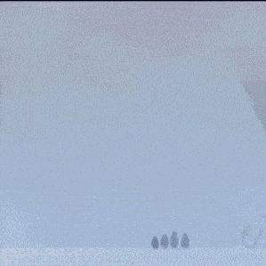 four penguins are standing on a snowy hill
