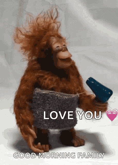 a stuffed monkey is holding a hair dryer and wearing a sweater and says " love you good morning family "