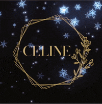 the word celine is surrounded by snowflakes in a gold frame