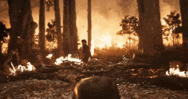 a person riding a motorcycle in a forest with trees on fire