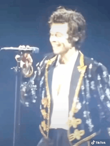 Harry Styles Harry Styles Live On Tour GIF - Harry Styles Harry Styles Live On Tour Live On Tour GIFs