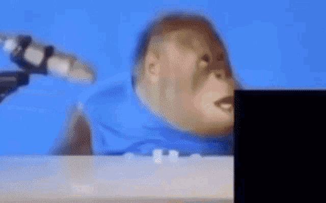 a monkey is singing into a microphone while sitting in front of a laptop computer .
