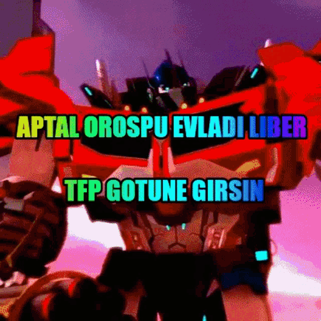 a robot with the words aptal orospu evladi liber tfp gotune girsin