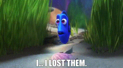 Finding Dory I Lost Them GIF - Finding Dory I Lost Them Dory GIFs