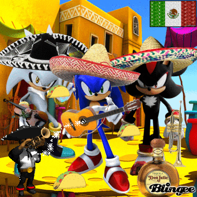 sonic the hedgehog and shadow the hedgehog are wearing sombrero and playing instruments