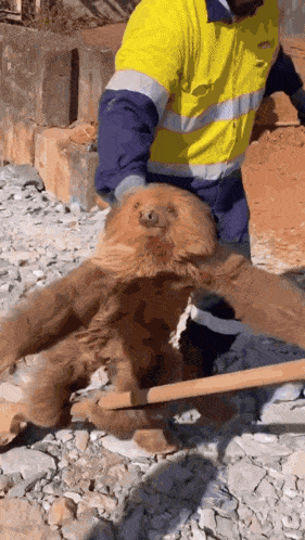 a man in a yellow and blue safety vest is holding a stuffed bear