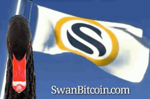 Swan Bitcoin Swan GIF - Swan Bitcoin Swan Bitcoin GIFs