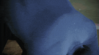 a man in a blue hoodie and sunglasses is kneeling down on the ground .