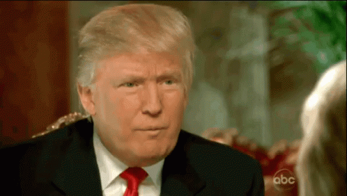 Trump Hairline GIF - Hairline Trump Potus GIFs