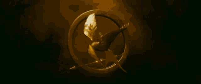 a picture of a bird in a circle with flames around it
