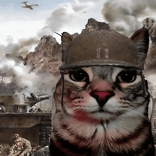 a cat wearing a soldier 's helmet looks at the camera in front of a battle scene