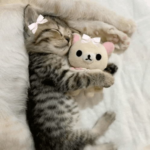 a kitten with a pink bow on its head is hugging a stuffed cat