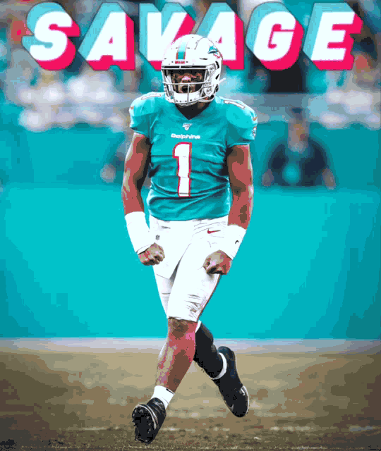 Lookrizzle2 Miami Dolphins GIF