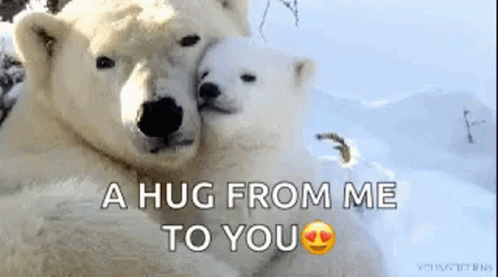 Polar Bears Hug GIF - Polar Bears Hug Hugging GIFs