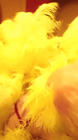 a close up of a yellow feather boa on a woman 's neck