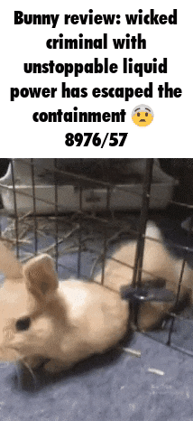 a picture of a bunny in a cage with a caption that says bunny review : wicked criminal
