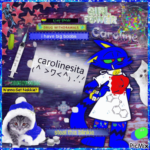 a picture of a cat with a sign that says " carolinesita " on it