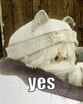 a white cat with a bandage on its head is holding a person 's arm and says yes .