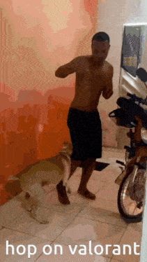 a shirtless man dancing with a dog in front of a motorcycle and the words hop on valorant