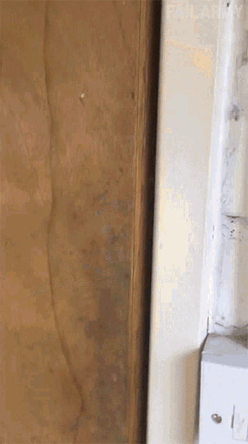 a blurred image of a room with the words failarmy written on the bottom