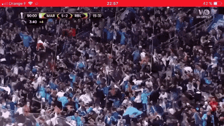 a crowd of people watching a soccer game on a cell phone