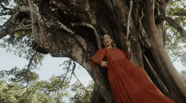 a woman in a red dress is standing in front of a tree