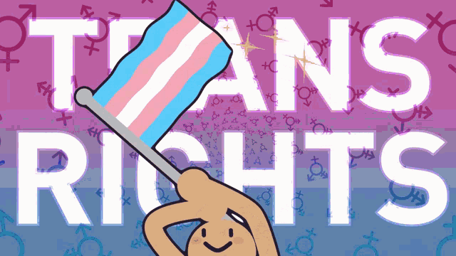 a cartoon drawing of a person holding a transgender flag with the words trans rights in the background