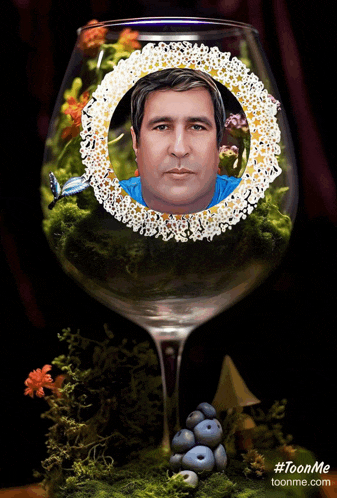 a picture of a man in a wine glass with the website toonme.com at the bottom