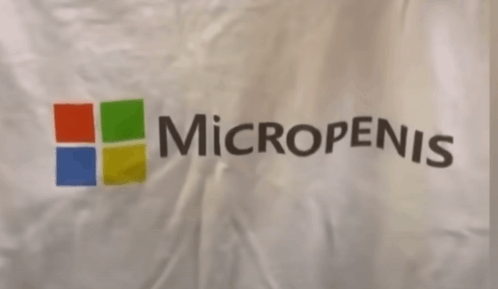 a white flag with a microsoft logo and micropenis written on it