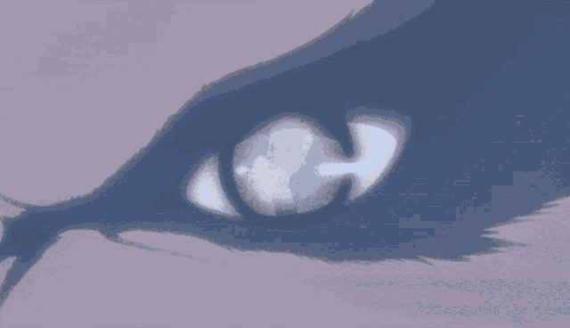 a close up of a cat 's eye with a white circle around it