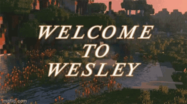 Wesley GIF - Wesley GIFs