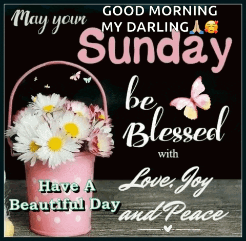 a good morning my darling may your sunday be blessed with love , joy and peace .