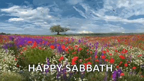 a field of flowers with a tree in the background and the words happy sabbath