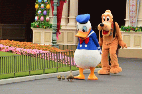 Duck Donald Duck GIF - Duck Donald Duck GIFs