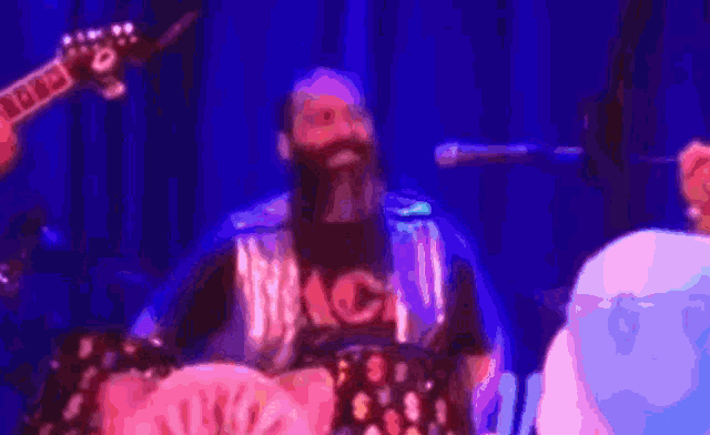 a cat playing a guitar on a stage with a blue curtain behind it