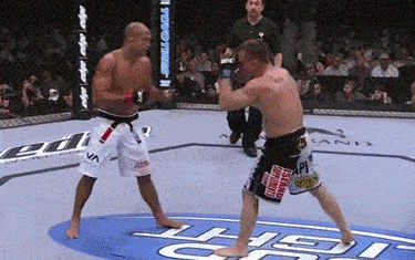 two men are fighting in a ring with a sign that says ' ufc '