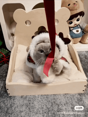 a cat wearing a santa hat is playing with a string