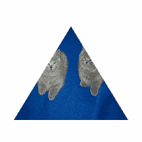 a blue pyramid with a picture of two cats on it